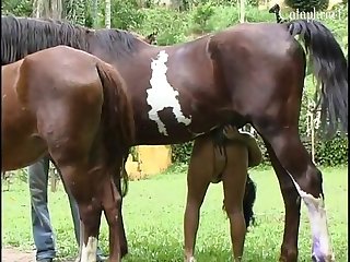 Animal Sex Clips