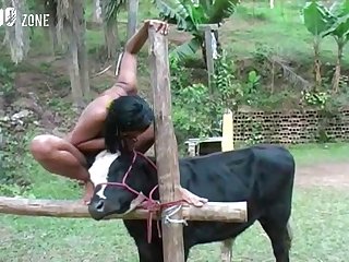 Animal Sex Porn Star