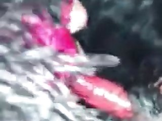 Xxx Xnxx Pro