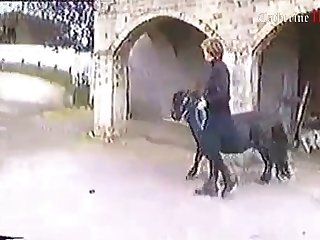 Animal Crossing Pornhub Qr Code