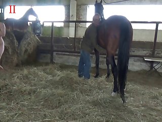 Animal Zoo Porn Video