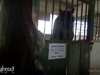 Miranda Johns Dog Video Porn