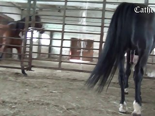 Pakistani Girl Xxx Xnxx