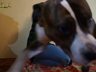 Porn Video With Animal Full Videos