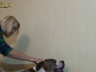 Porn Video With Animal Full Videos