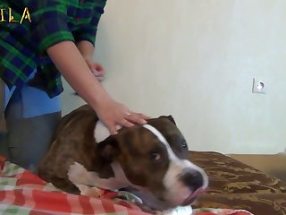 Porn Video With Animal Full Videos