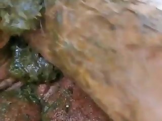 Cow Scat 720p