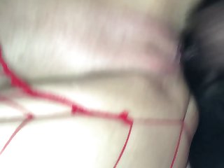 Xx Xx X Only Dog Fun