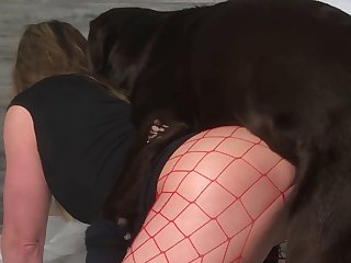 Xx Xx X Only Dog Fun