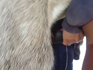 Horse Creampies And Floods Woman's Pussy With Cum