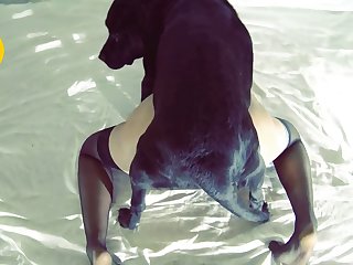 Godiva B And T Teaser xxxxx