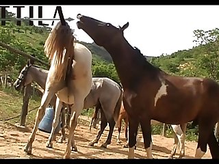 Vt21022016c Shadow Vs Nina Mare Sc 03