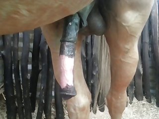 Front Nice Beastforum Geles Masturbation
