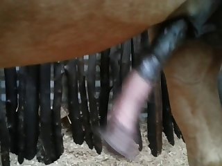 Side View Beastforum Geles Masturbation