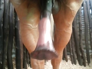 Front Nice Beastforum Geles Masturbation