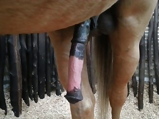 Side View Beastforum Geles Masturbation