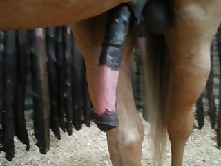 Side View Beastforum Geles Masturbation