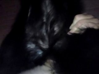 Dog Porn Black Girl