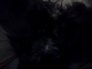 Dog Porn Black Girl