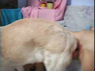 Teen Dog Porn Tube
