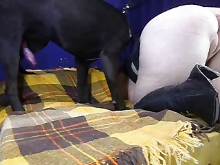 Zoophilie De
