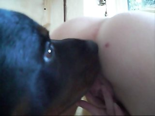 Inukai Dog Porn