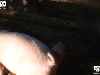 I Fucked My Dog Porn