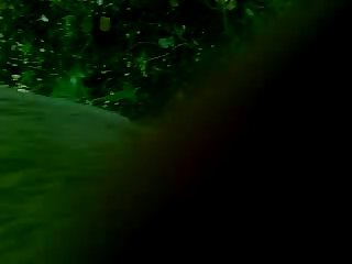 Desperate Dog Porn
