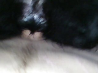 Furry Gay Dog Porn