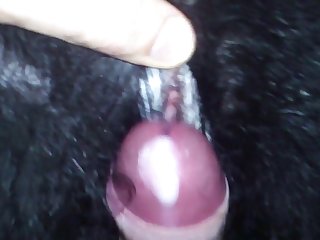 Furry Gay Dog Porn