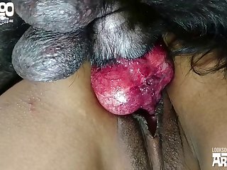 Dommy Dog Porn