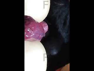 Couple Has Sex With Dog Porn