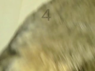 K9 Lady Dog Porn