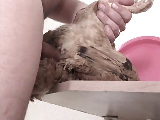 Missing Dog Porn