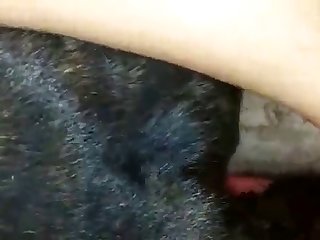 Zoo Porn Xvideos