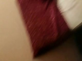 Crying Animal Sex