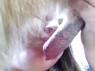 Latina Animal Sex
