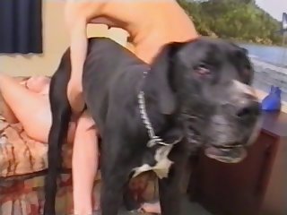 Video Porn Animal Sex