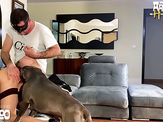3d Dog Porn Comics