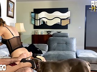 3d Dog Porn Comics