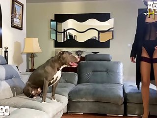 3d Dog Porn Comics
