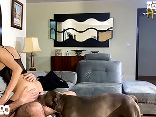 3d Dog Porn Comics