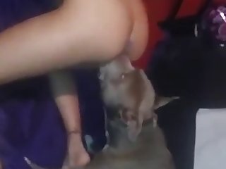 Art Of Zoo Sucking