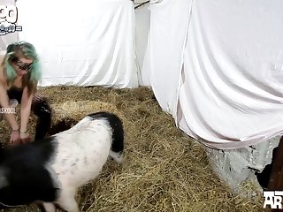 Masturbating On Boar Porn