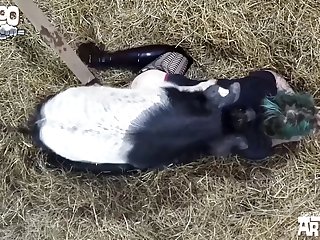 Sexy Young Boar Porn