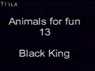 Gyöngyi In Animals For Fun 13 Black King