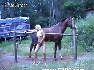 What Is Zoo Porn Called