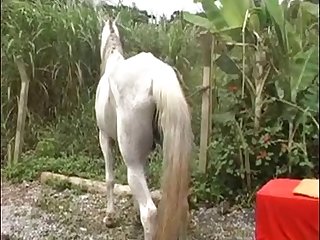 Animal Sex With People Video