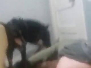 Video De Sexo Gay Garoto