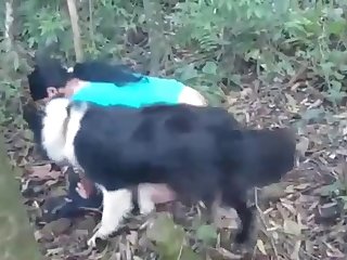 Spurting Dog Cock